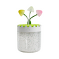 Enchanted Mushroom Pot Humidifier & Light