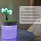 Enchanted Mushroom Pot Humidifier & Light