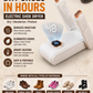Timer-Controlled Shoe Dryer & Odor Remover